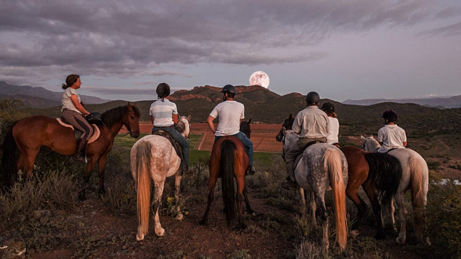 Riders on horseback crossing the open Klein Karoo veld near De Rust, Western Cape